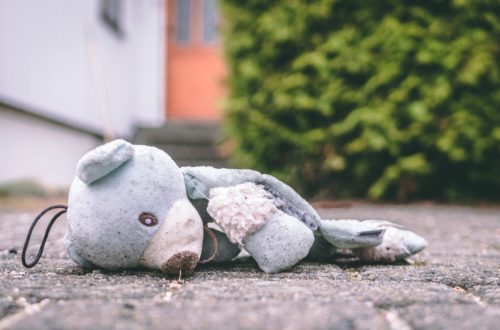 teddy bear on ground